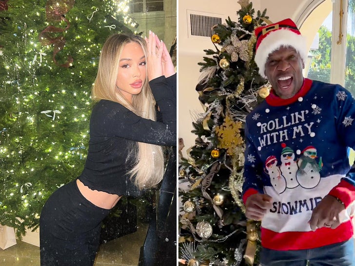 Alberi di Natale delle celebrità 2023