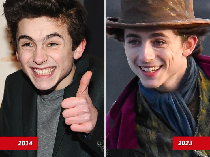 Timothée Chalamet: buoni geni o buoni dottori?!
