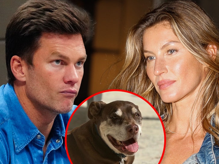 Tom Brady Gisele Bundchen