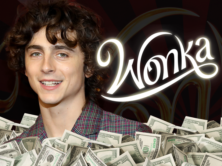 Timothée Chalamet