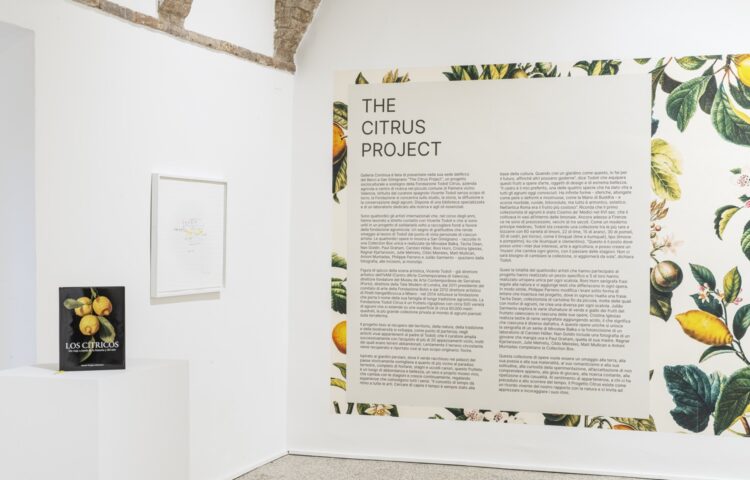 Mostra “The Citrus Project” a San Gimignano