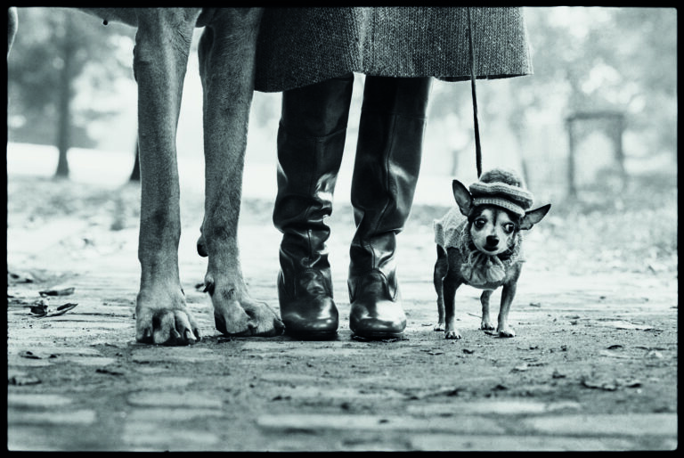 Mostra Elliott Erwitt. Icons a Roma