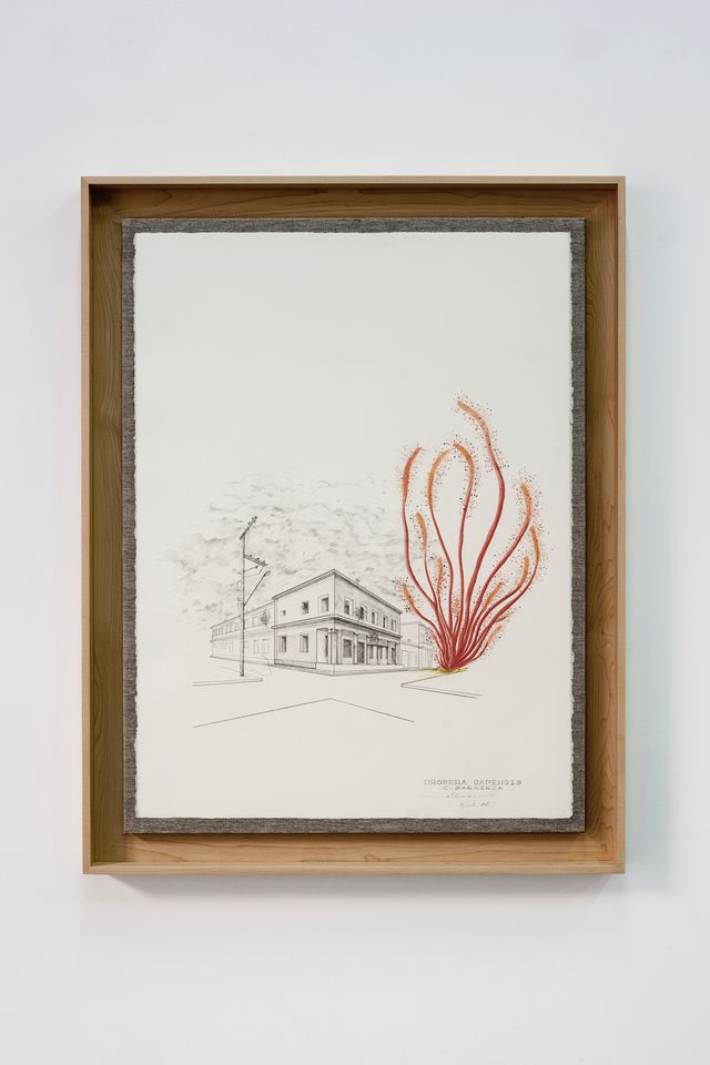 Mostra “Carlos Garaicoa. I giardini di Piranesi” a Roma